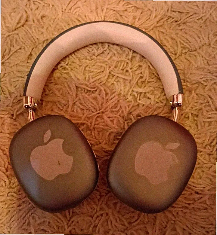 Apple AirPods Max Over-Ear Kopfhörer Kopfbügel Grau/Weiß Bluetooth USB-C 3,5mm