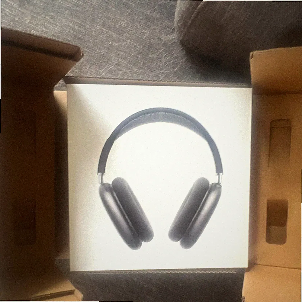 Apple AirPods Max Over-Ear Kopfhörer Tasche fehlt