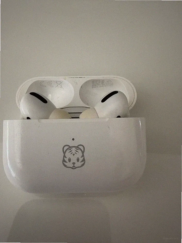 Apple AirPods Pro In-Ear Bluetooth True Wireless Kopfhörer Weiß mit Ladecase