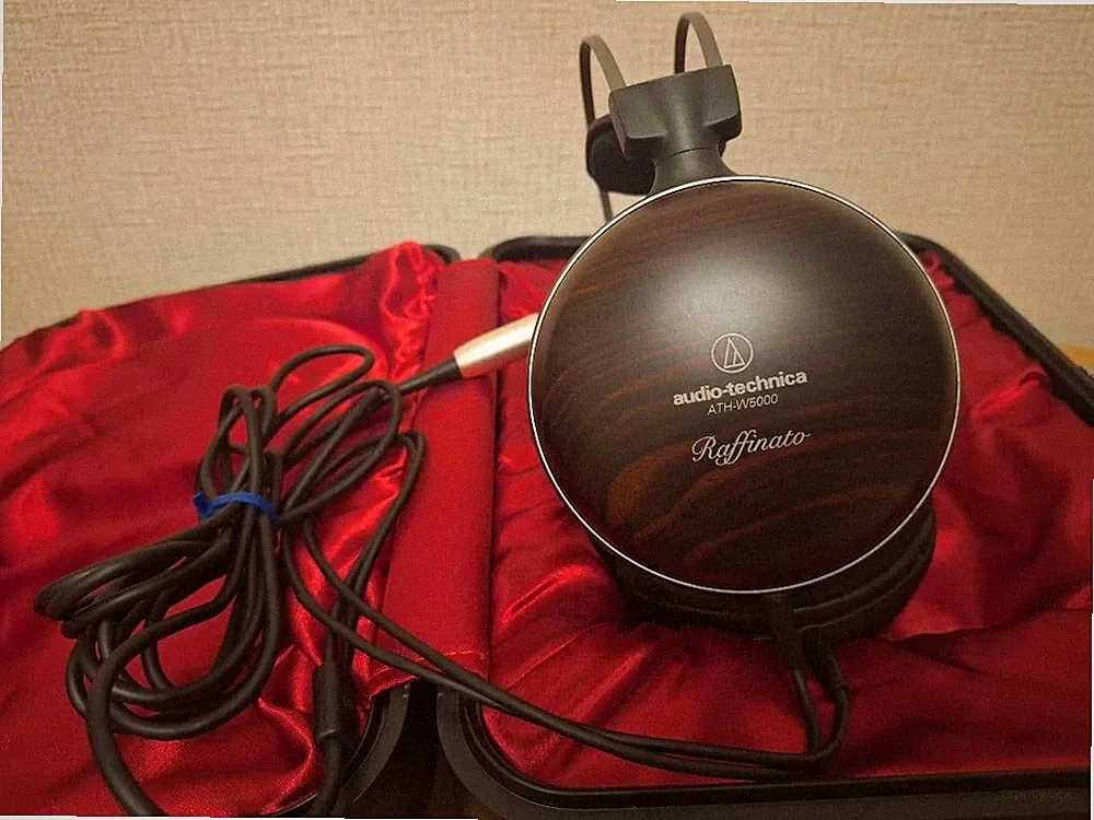 Audio-Technica ATH-W5000 W Serie geschlossene Kopfhörer Ebenholz 53 mm Hartsc...