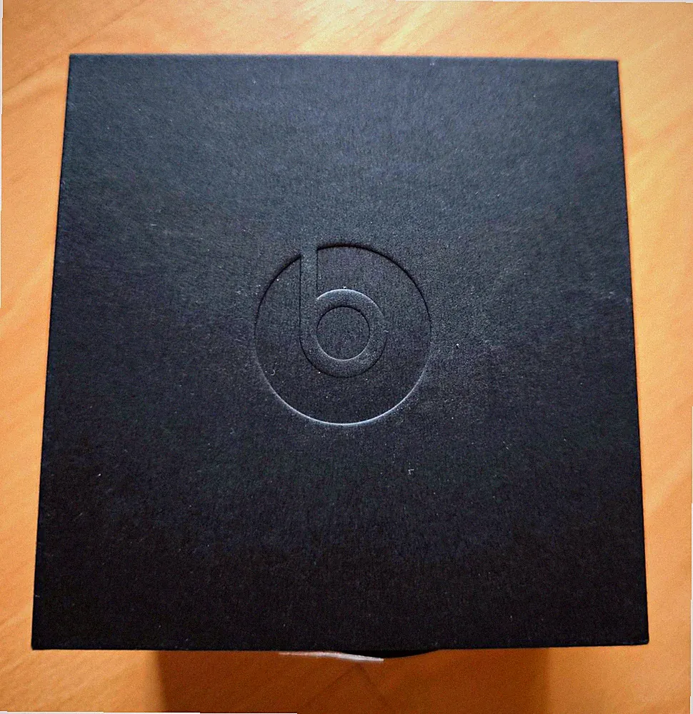 Beats by Dr. Dre Powerbeats Pro In-Ear-Kopfhörer Bluetooth Schwarz Ohrbügel