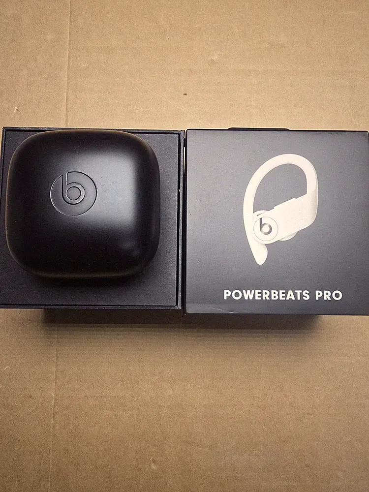 Beats by Dr. Dre Powerbeats Pro Kabellose Ohrbügel-Kopfhörer - Schwarz