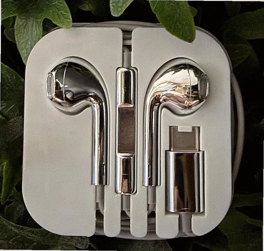 Chrome Earbuds Kopfhörer USB-C | Y2K Style | Kabelgebunden | Metallic | Neu