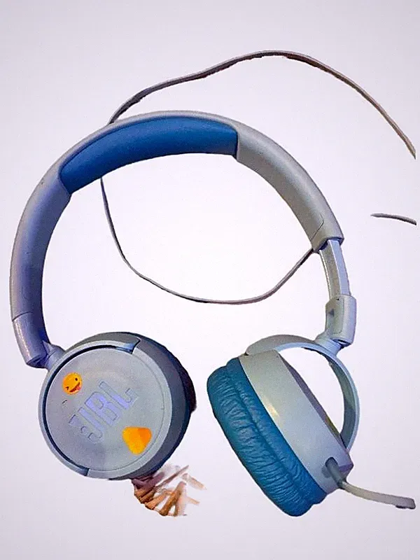 JBL JR310 Kinderkopfhörer On-Ear Kopfhörer Blau kabelgebunden