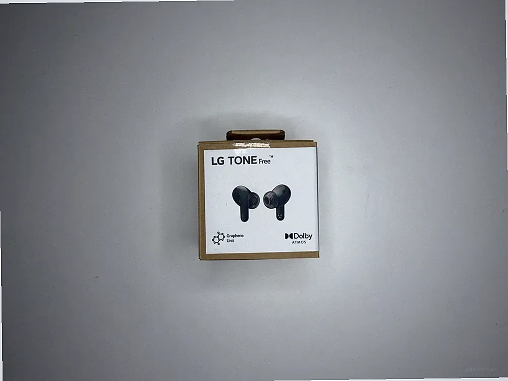 LG TONE Free DT80Q - NUR LADECASE - True Wireless In-Ear Ohrhörer Set - Schwarz