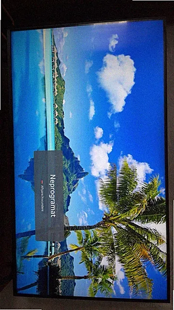 LG TV UHD Fernseher 55 Zoll (55UA75006LA) *B-Ware