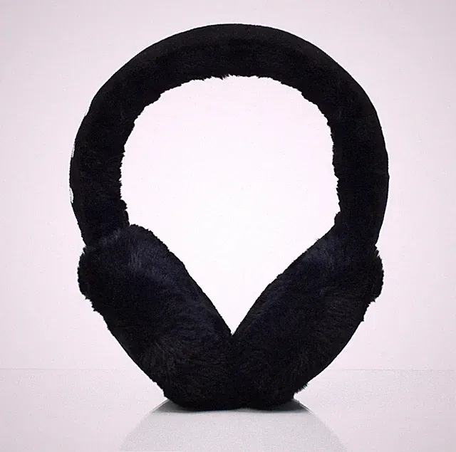 Ohrschützer Bluetooth Kopfhörer mit Mikrofon Ear Muffs Schwarz Leicke