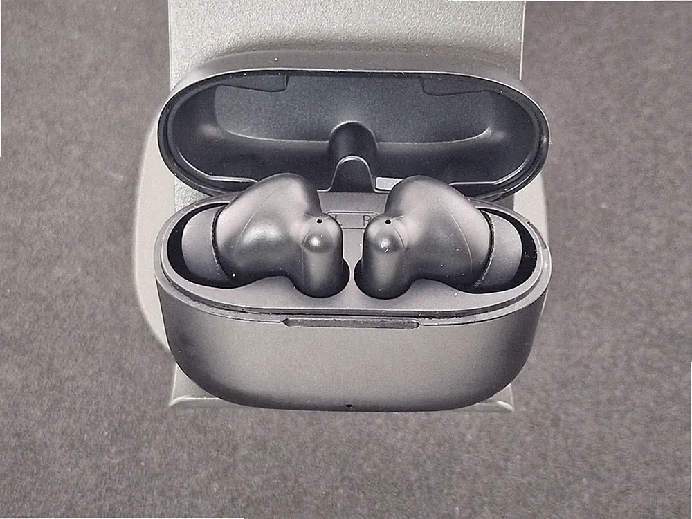 Panasonic RZ-B110WDE-K True Wireless In-Ear Schwarz
