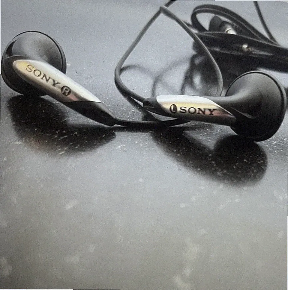 Sony MDR-E818LP Ohrhörer Kopfhörer - Schwarz